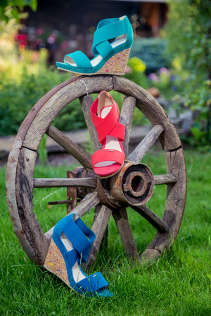 Bright shoes, women's sandals, shoes in the gardenの写真素材