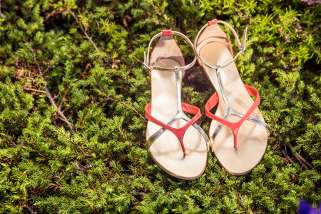 sandals, women's elegant shoes in natureの写真素材