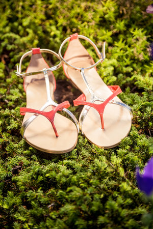 sandals, women's elegant shoes in natureの写真素材