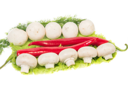Mushrooms and chili peppers on a green backgroundの写真素材