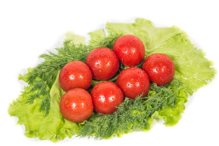 Cherry tomatoes are on green leaf lettuceの写真素材