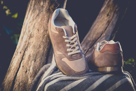 Stylish shoes brown suede shoes  fashionの写真素材