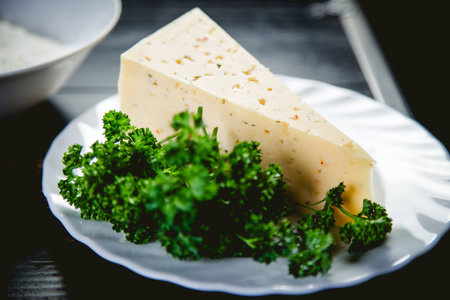 Cheese with spices, a triangle of cheese and parsleyの写真素材