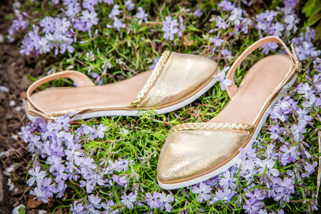Golden women sandals with flowersの写真素材