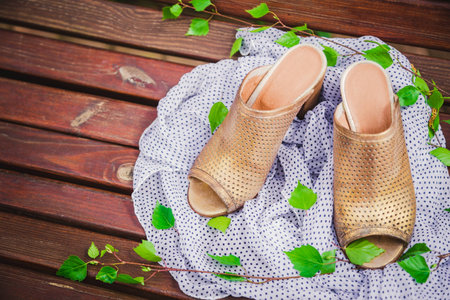 female golden slippers, vintage advertising photos ?の写真素材