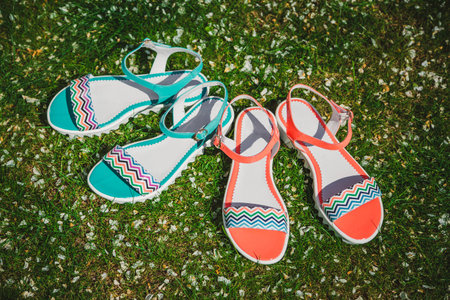 Women's sandals on a background of flowers, the Italian patent shoesの写真素材