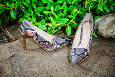 female shoes with heels of snake skin on a rock ?