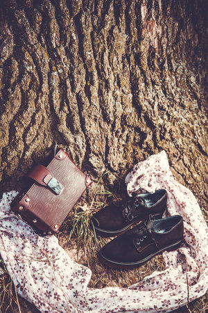 suede and red female bagの写真素材
