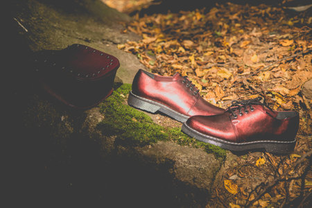 Italian shoes and red female handbag on a rock in the forestの写真素材