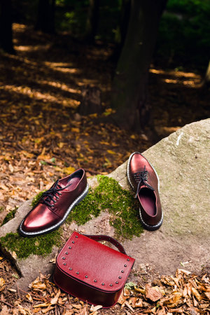 Italian shoes and red female handbag on a rock in the forestの写真素材