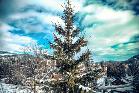 Carpathian mountains nature vacation mountainの写真素材