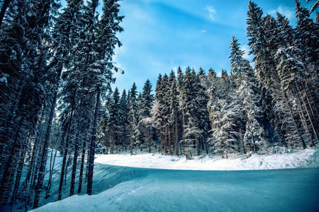 Carpathian mountains nature vacation mountain