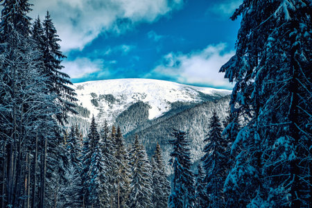 Carpathian mountains nature vacation mountainの写真素材