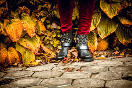 leather women's boots with stars, autumn lookの写真素材