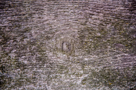 old wooden board background textureの写真素材