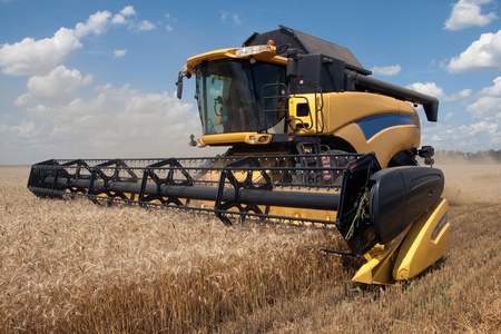 Combine harvests wheat on a field in sunny summer dayのeditorial素材