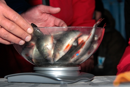 KHARKIV REGION, UKRAINE - FEBRUARY 6: Eighth World Ice Fishing Championship in Kharkiv region on February 5-6, 2011のeditorial素材