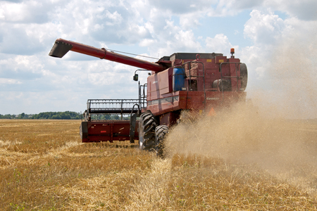 Combine harvests wheat on a field in sunny summer dayのeditorial素材