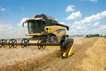 Combine harvests wheat on a field in sunny summer dayのeditorial素材