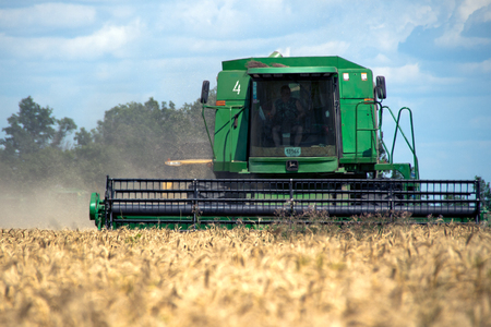 Combine harvests wheat on a field in sunny summer dayのeditorial素材
