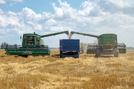 Kharkiv, Ukraine - July 12, 2011: Combine harvester load wheat in the truck at the time of harvest...