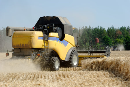 Combine harvests wheat on a field in sunny summer day