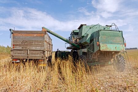 Combine harvester load sunflower seed in the truck at the time of harvest in autumnの写真素材