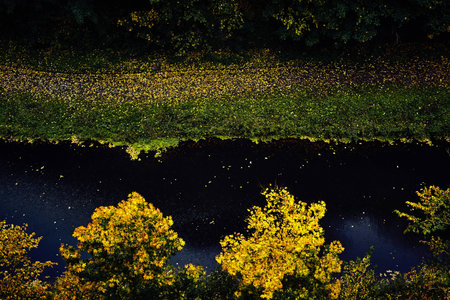 View of the track at the pond