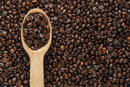 Copy space image of coffee Beans in wooden spoonの写真素材