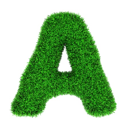 Letter A, made of grass isolated on white background.の写真素材