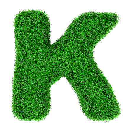 Letter K, made of grass isolated on white background.の写真素材