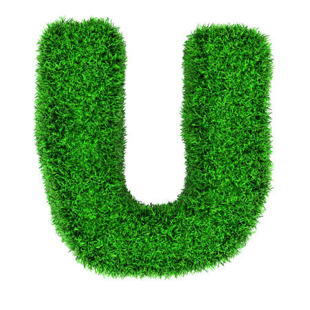 Letter U, made of grass isolated on white background.の写真素材