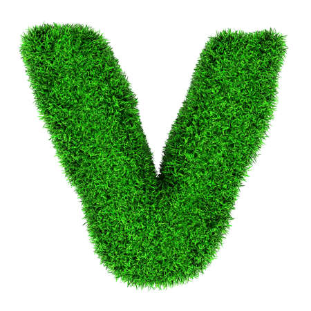 Letter V, made of grass isolated on white background.の写真素材