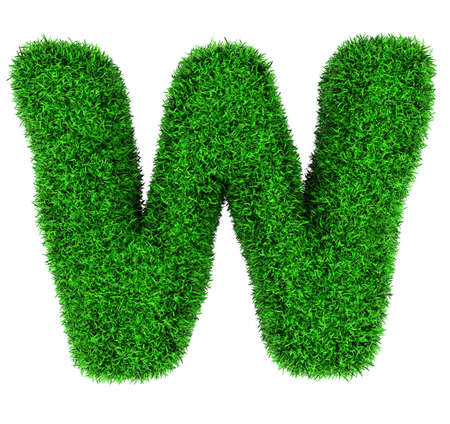 Letter W, made of grass isolated on white background.の写真素材