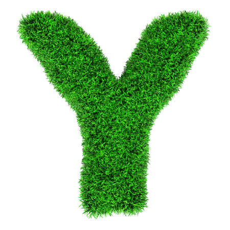Letter Y, made of grass isolated on white background.の写真素材