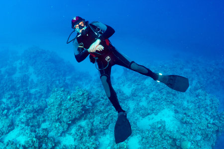 Diver in the background of the reef 