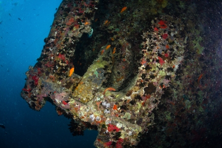 Anchor of shipwreck SS Thistlegorm, Red Sea, Egypt の写真素材