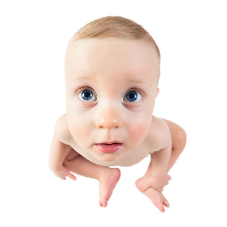 Nine month boy sitting, fisheye lens shot, on white background の写真素材