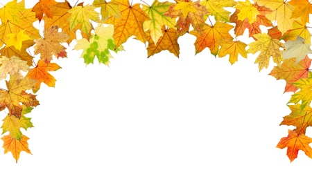 Maple autumn leaves falling border, on white background.の写真素材