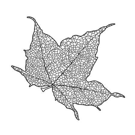 Silhouette of the textured maple leaf, vector illustration.のイラスト素材
