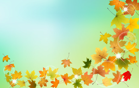 Maple autumn leaves falling down on natural background, vector illustration.のイラスト素材