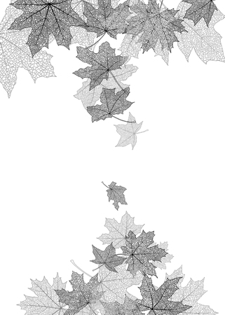 Dry autumn maple leaves silhouettes falling background, vector illustration.のイラスト素材