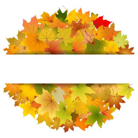 Maple autumn leaves greeting card template, vector illustration.のイラスト素材