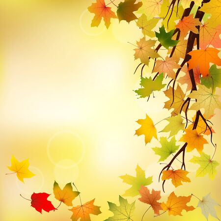 Branch with autumn maple leaves on natural background, vector illustration.のイラスト素材