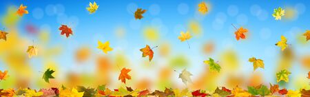 Autumn maple leaves falling down on natural background.の写真素材