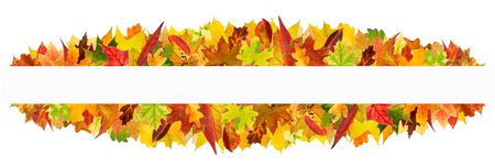 Colorful autumn leaves frame, isolated on white background.の写真素材