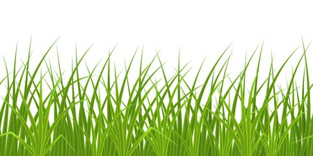 High quality green grass illustration.のイラスト素材