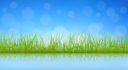 High quality green grass illustration.のイラスト素材