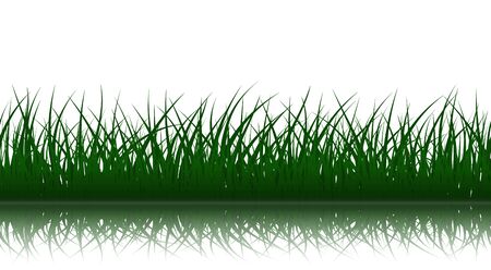 High quality green grass illustration.のイラスト素材