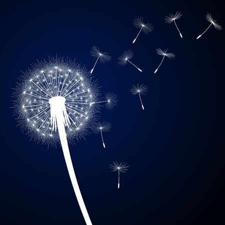 Abstract background with dandelion flower and seeds, vector illustration.のイラスト素材
